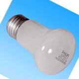 F燈泡 PHILIPS 40W 220V 螺口 已停產(chǎn)，找代用型號(hào)>>